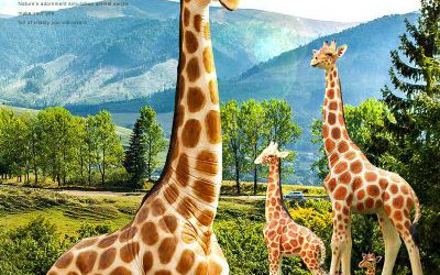 公園景區(qū)玻璃鋼彩繪大型仿真動物長頸鹿雕塑