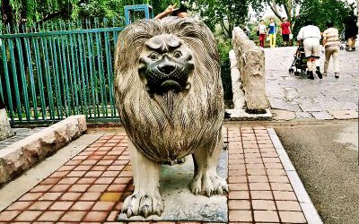 大型戶外街道玻璃鋼創意行走的仿真動物獅子雕塑