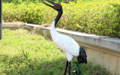 公園草地上一只站立的玻璃鋼仿真動物丹頂鶴雕塑