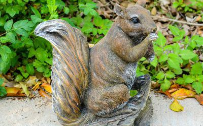 景區(qū)動物園一只吃東西玻璃鋼松鼠雕塑