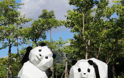花園廣場擺放幾何創意玻璃鋼卡通熊貓雕塑