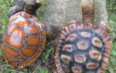 公園草坪玻璃鋼彩繪仿真動物烏龜?shù)袼?>
	                <div>公園草坪玻璃鋼彩繪仿真動物烏龜?shù)袼?/div>
	            </a>
	        	            <a href=